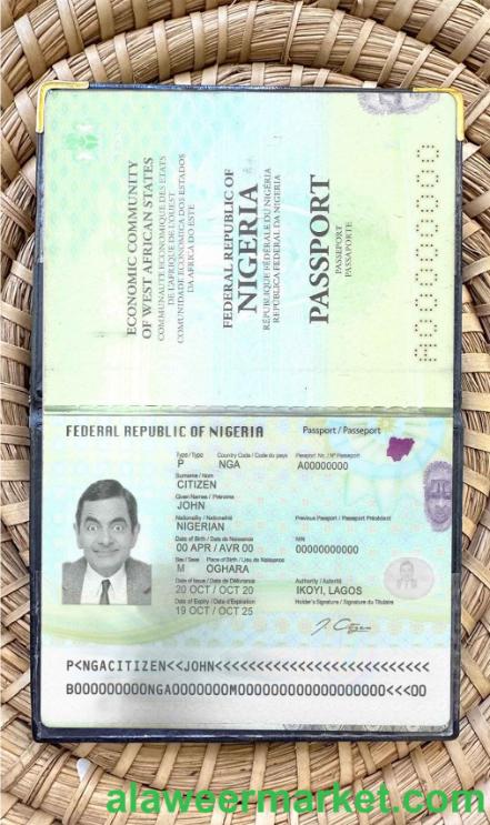 Nigeria passport (2019-present) photo look
